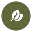 leaf-green.png