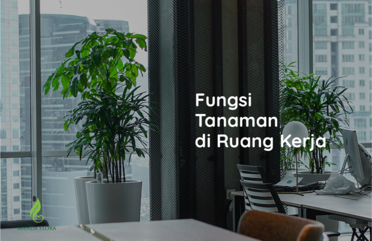 fungsi tanaman