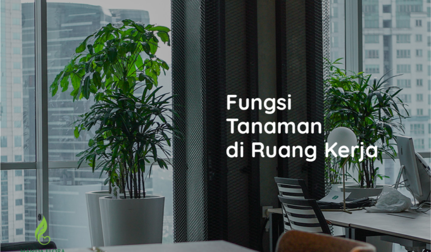 fungsi tanaman