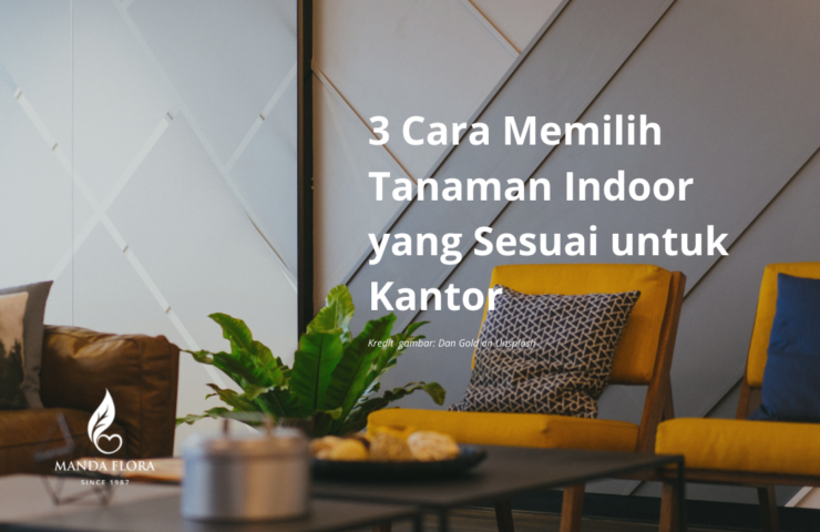 memilih tanaman indoor