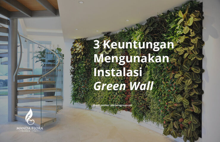 3 keuntungan menggunakan green wall