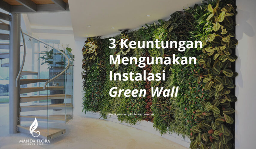 3 keuntungan menggunakan green wall