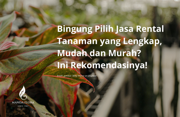 rental tanaman