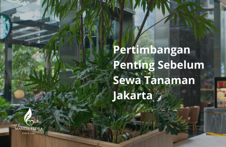 sewa tanaman jakarta