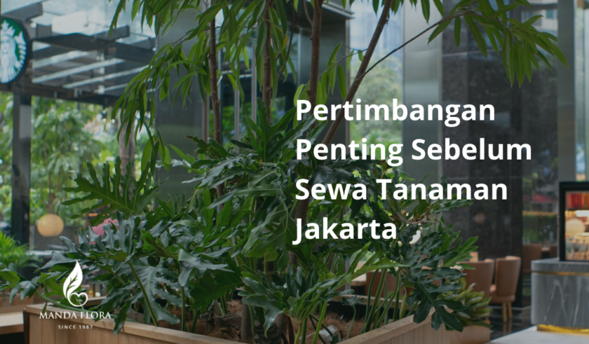 sewa tanaman jakarta