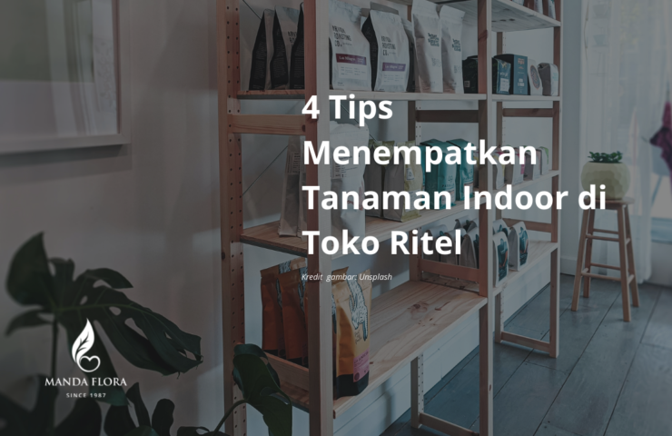 tanaman indoor di toko ritel
