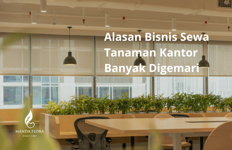 sewa tanaman kantor