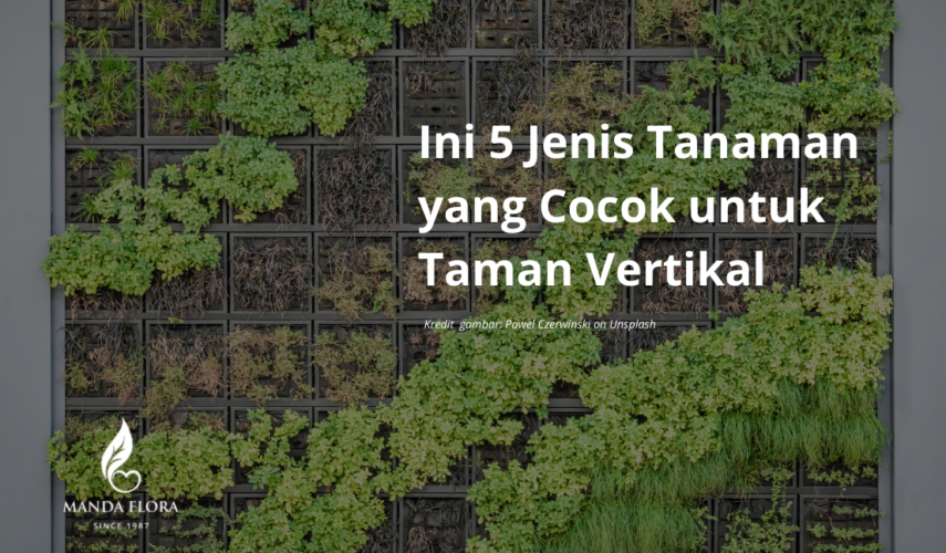 taman vertikal