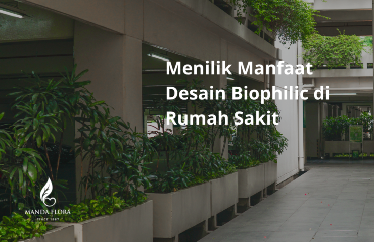 manfaat desain biophilic di rumah sakit