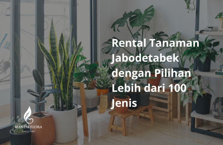 rental tanaman Jabodetabek