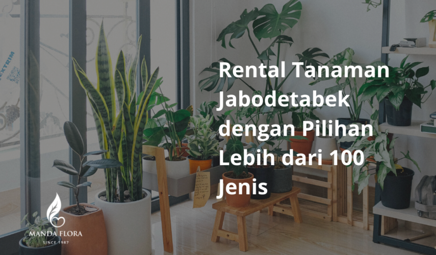rental tanaman Jabodetabek
