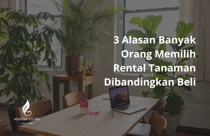rental tanaman
