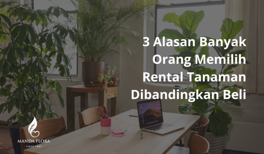 rental tanaman