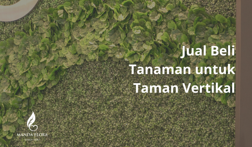 jual beli tanaman