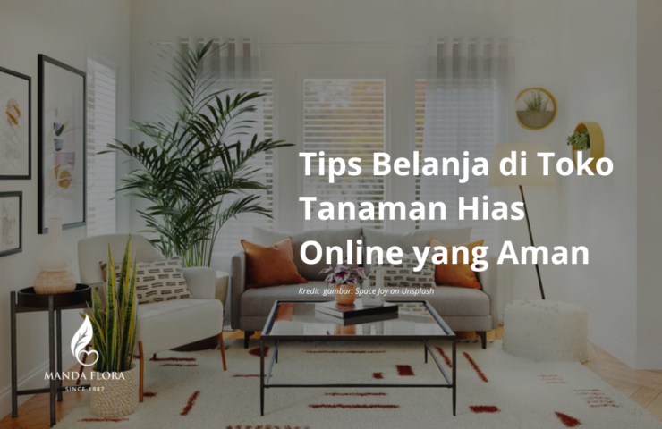 toko tanaman hias