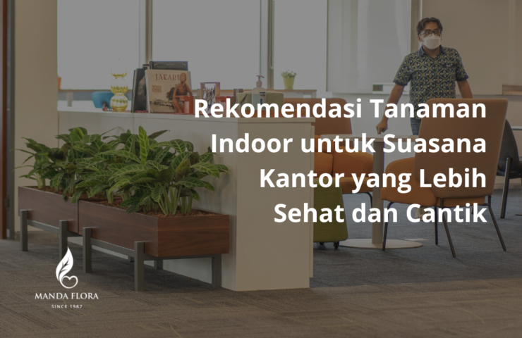 rekomendasi tanaman