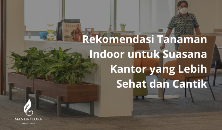 rekomendasi tanaman