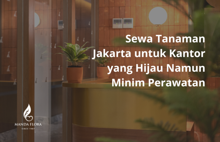 sewa tanaman jakarta