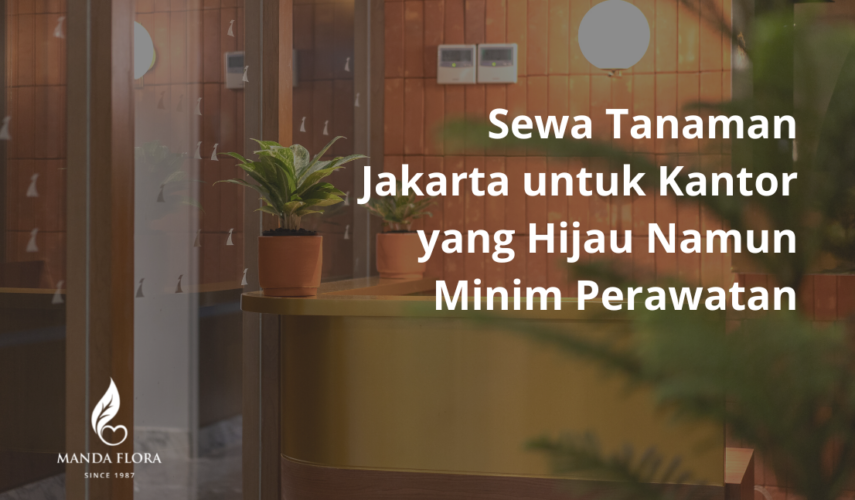 sewa tanaman jakarta