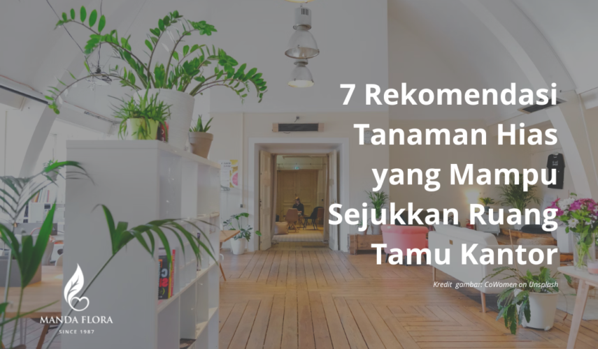 rekomendasi tanaman