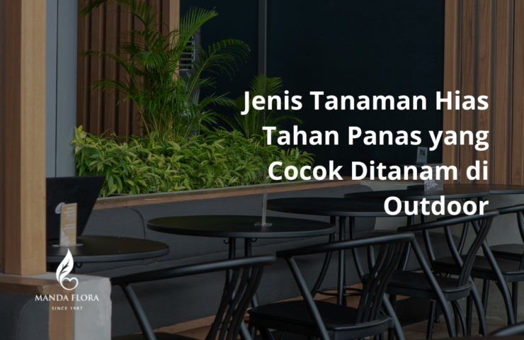 jenis tanaman