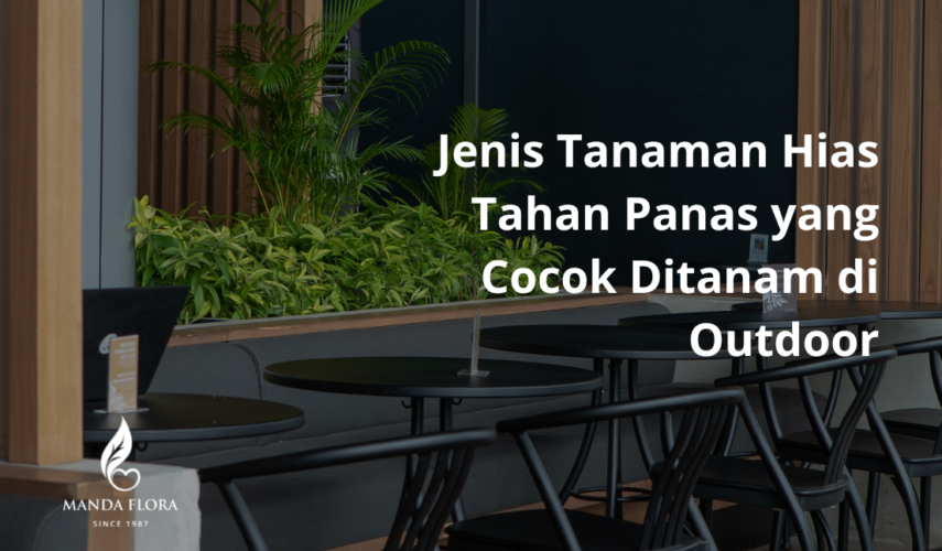 jenis tanaman