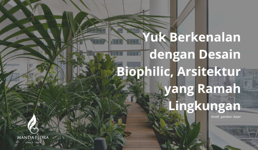 desain biophilic