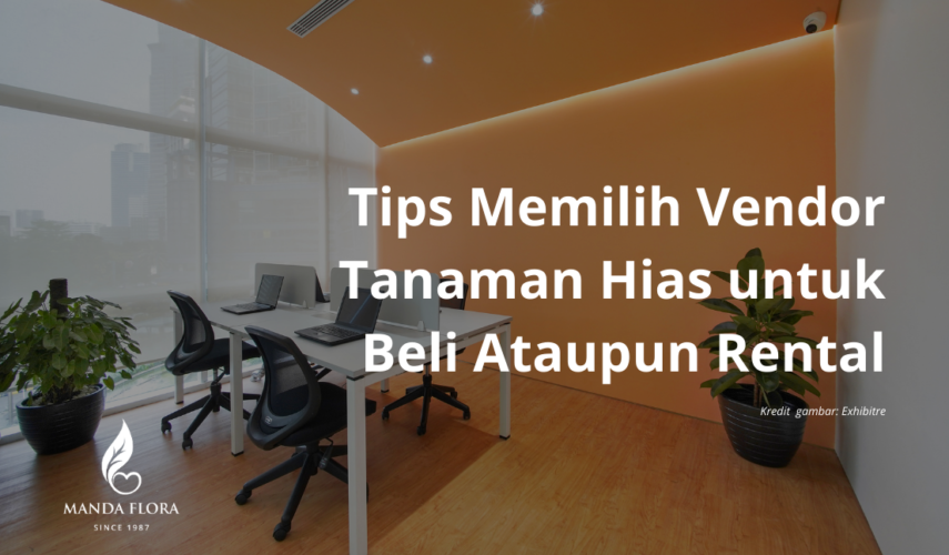 vendor tanaman kantor
