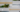 desain biophilic