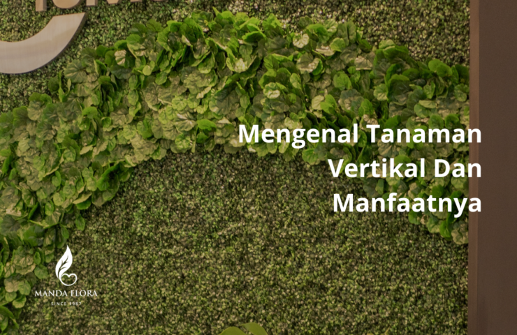 tanaman vertikal