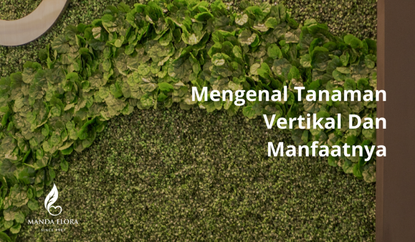 tanaman vertikal