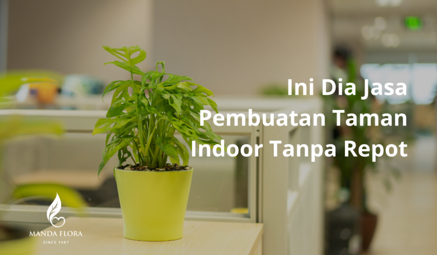 Jasa Pembuatan Taman Indoor