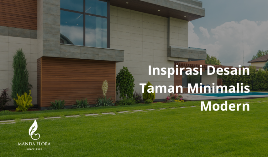 taman minimalis modern
