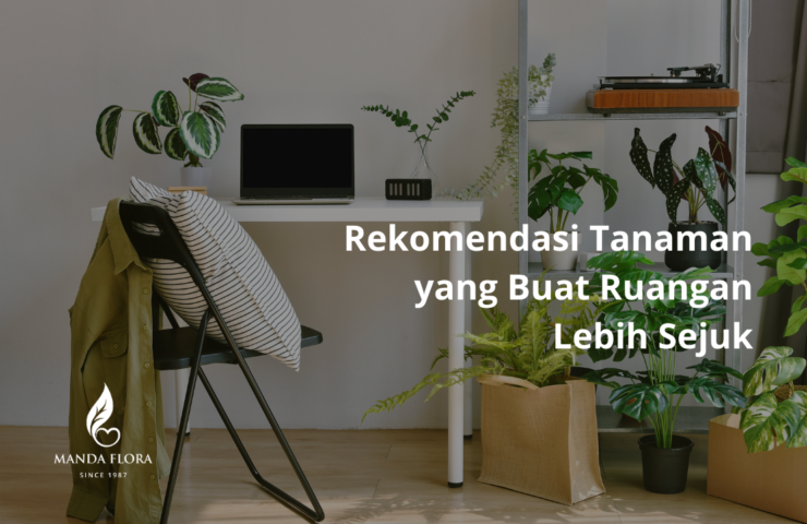 rekomendasi tanaman