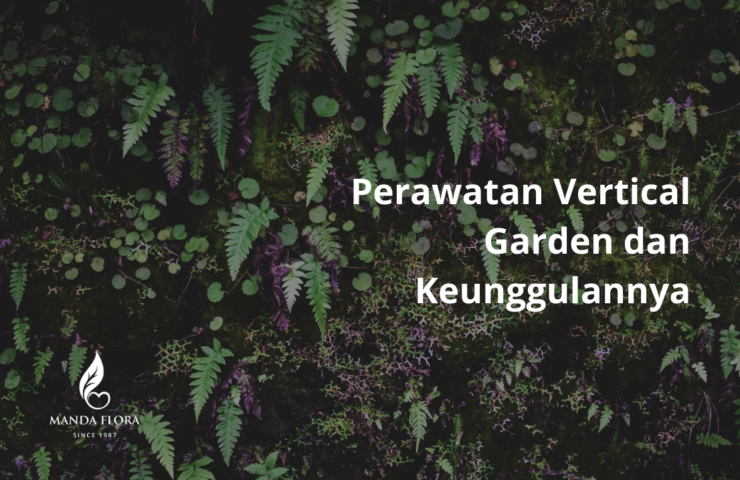 perawatan vertical garden