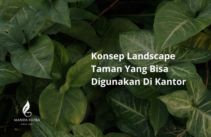 landscape taman