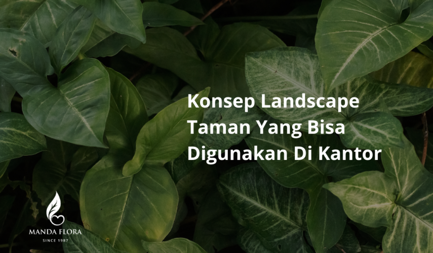 landscape taman