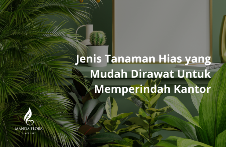 tanaman hias