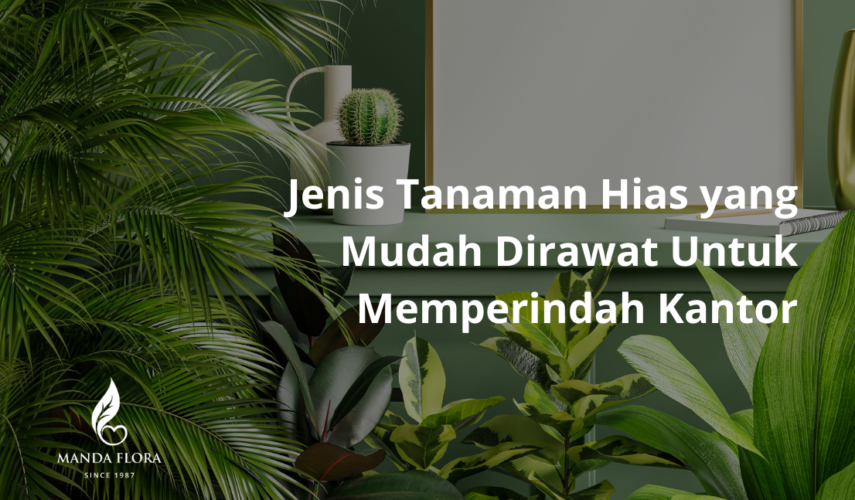 tanaman hias
