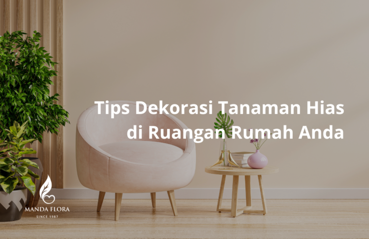 dekorasi tanaman hias