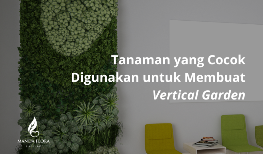 jenis tanaman untuk vertical garden
