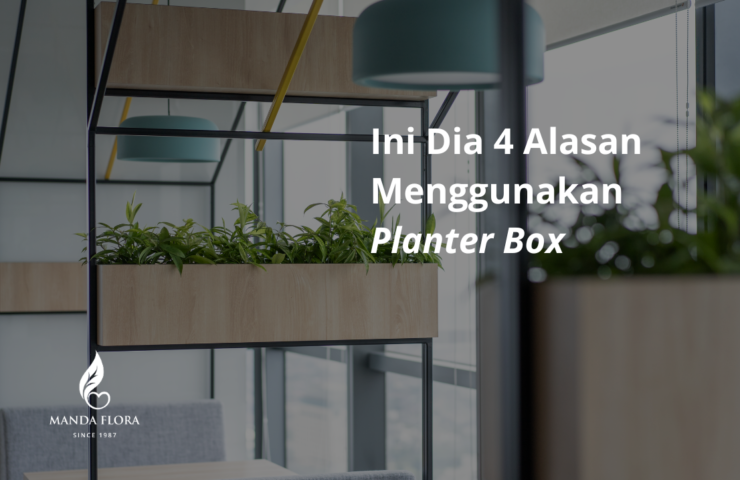alasan menggunakan planter box